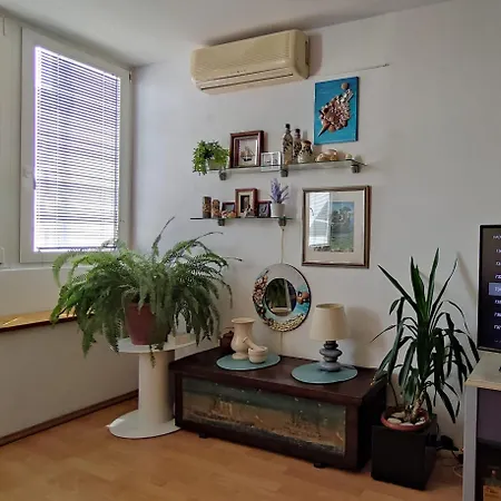 Appartement Gogina *